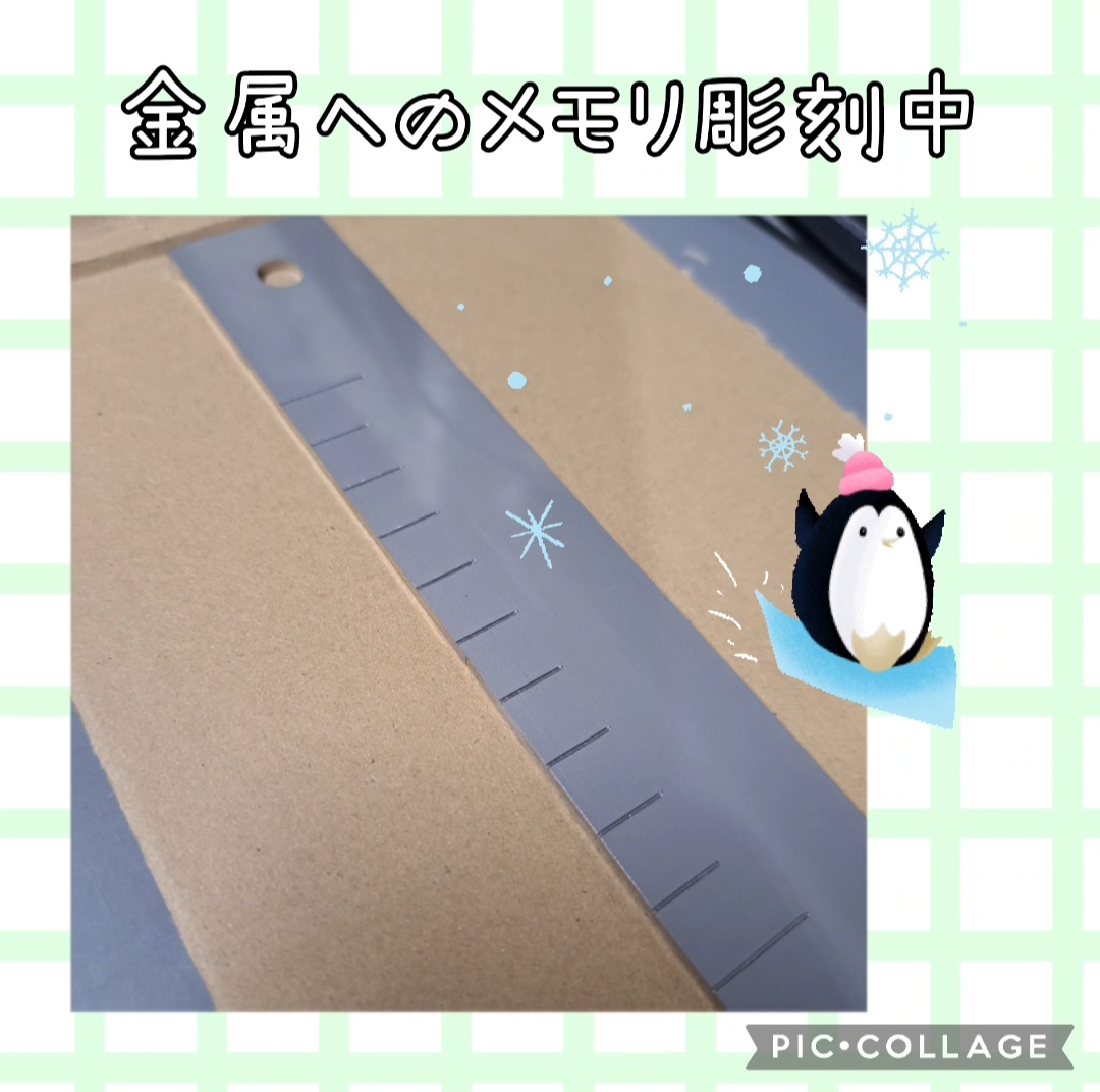 Screenshot_20250221_194419_Gallery.jpg